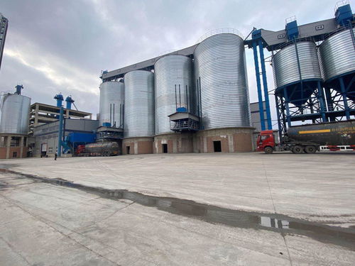 蘭西縣 民營經(jīng)濟(jì)驅(qū)動高質(zhì)量發(fā)展，建筑材料銷售成為強(qiáng)勁新動能