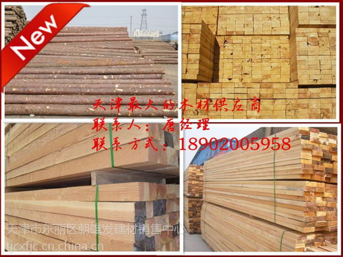 臨汾建筑木方價格行情解析與優(yōu)質批發(fā)廠家推薦