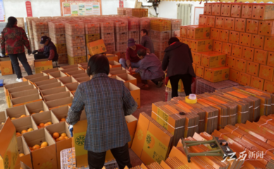 江西崇義 壯大村集體經(jīng)濟 開創(chuàng)強村富民新局面