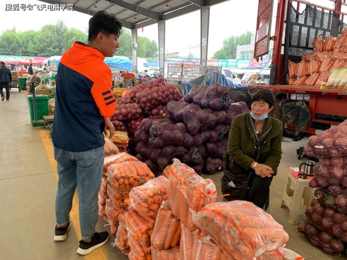 青蒜苗銷售調(diào)研與初步協(xié)議促成農(nóng)副產(chǎn)品銷售新突破