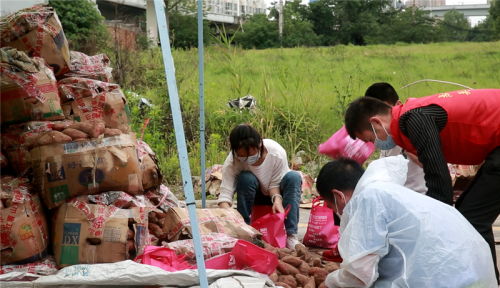 大愛接力 武漢志愿者團助力臨沂農副產品銷售，推動機械設備研發